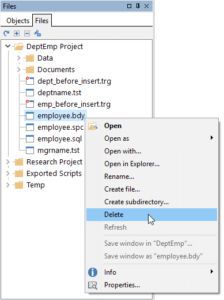 PL/SQL Developer | Danysoft | Versión 16
