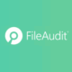 Imagen destacada FileAudit